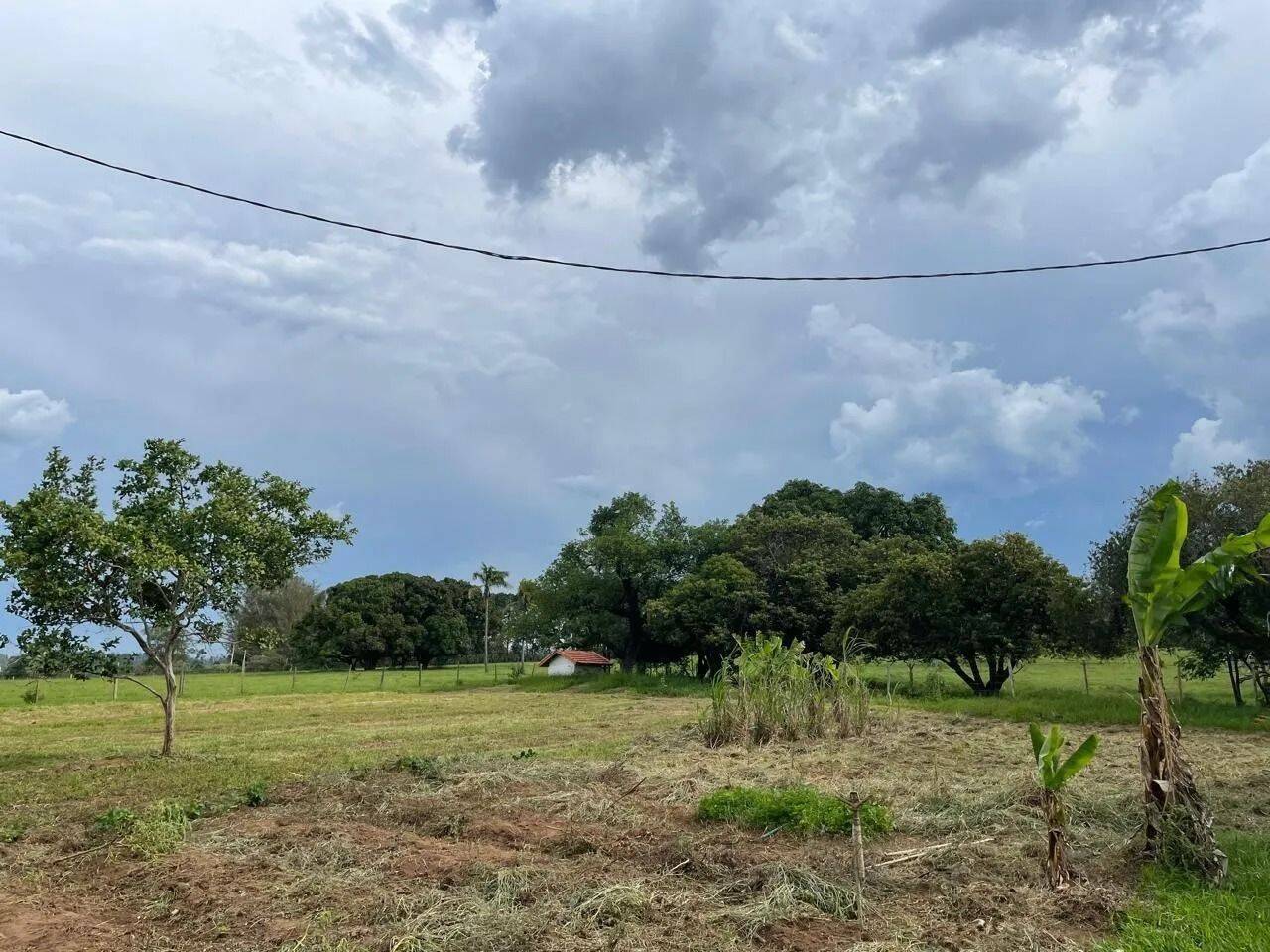 Fazenda, 48 hectares - Foto 33