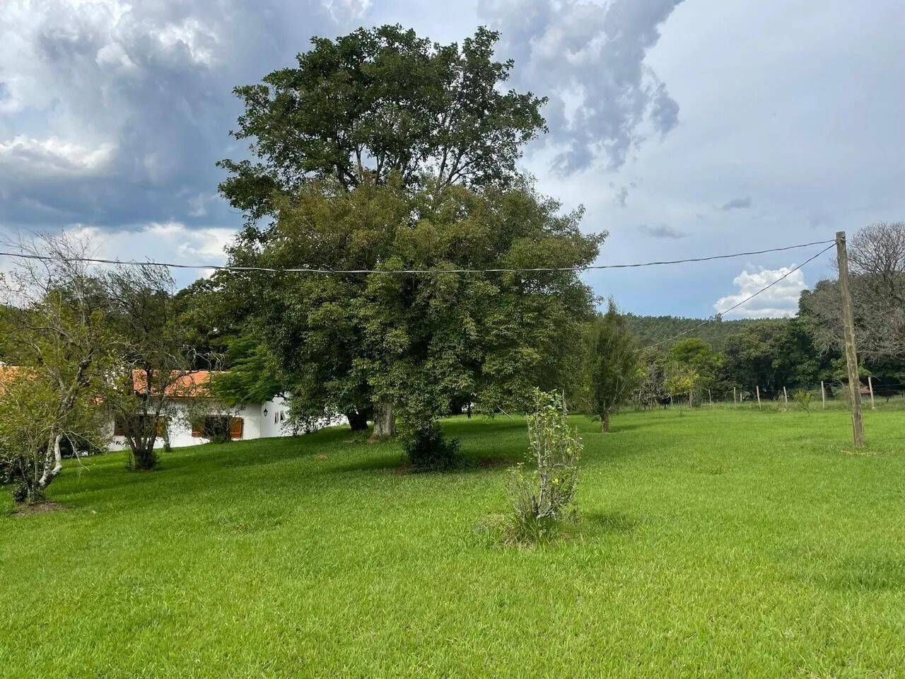 Fazenda, 48 hectares - Foto 46
