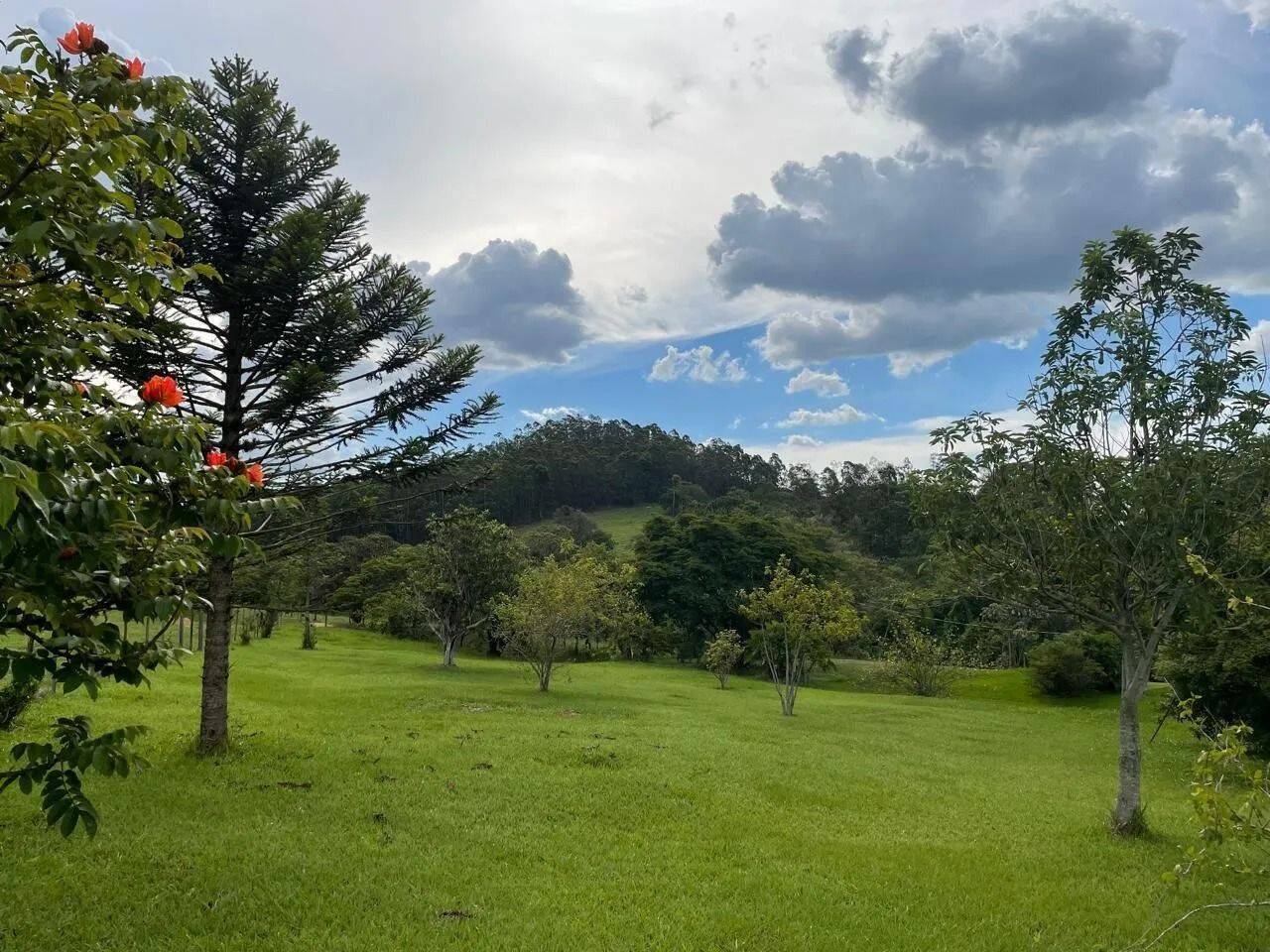 Fazenda, 48 hectares - Foto 48