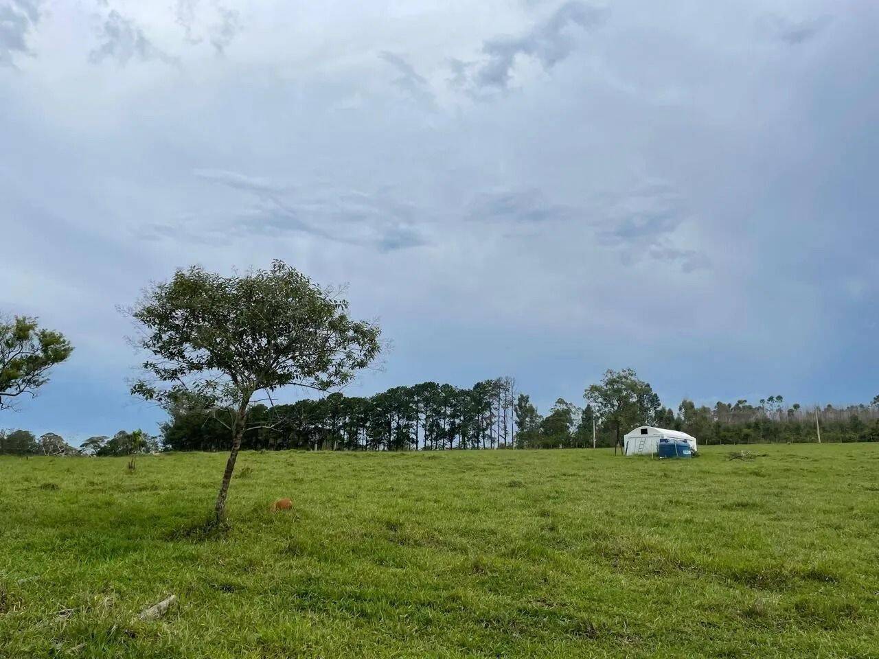 Fazenda, 48 hectares - Foto 49