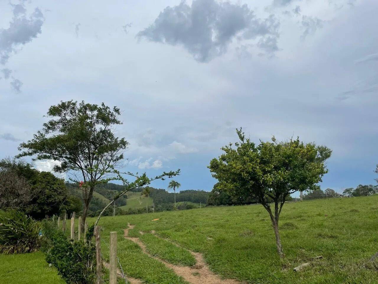 Fazenda, 48 hectares - Foto 51