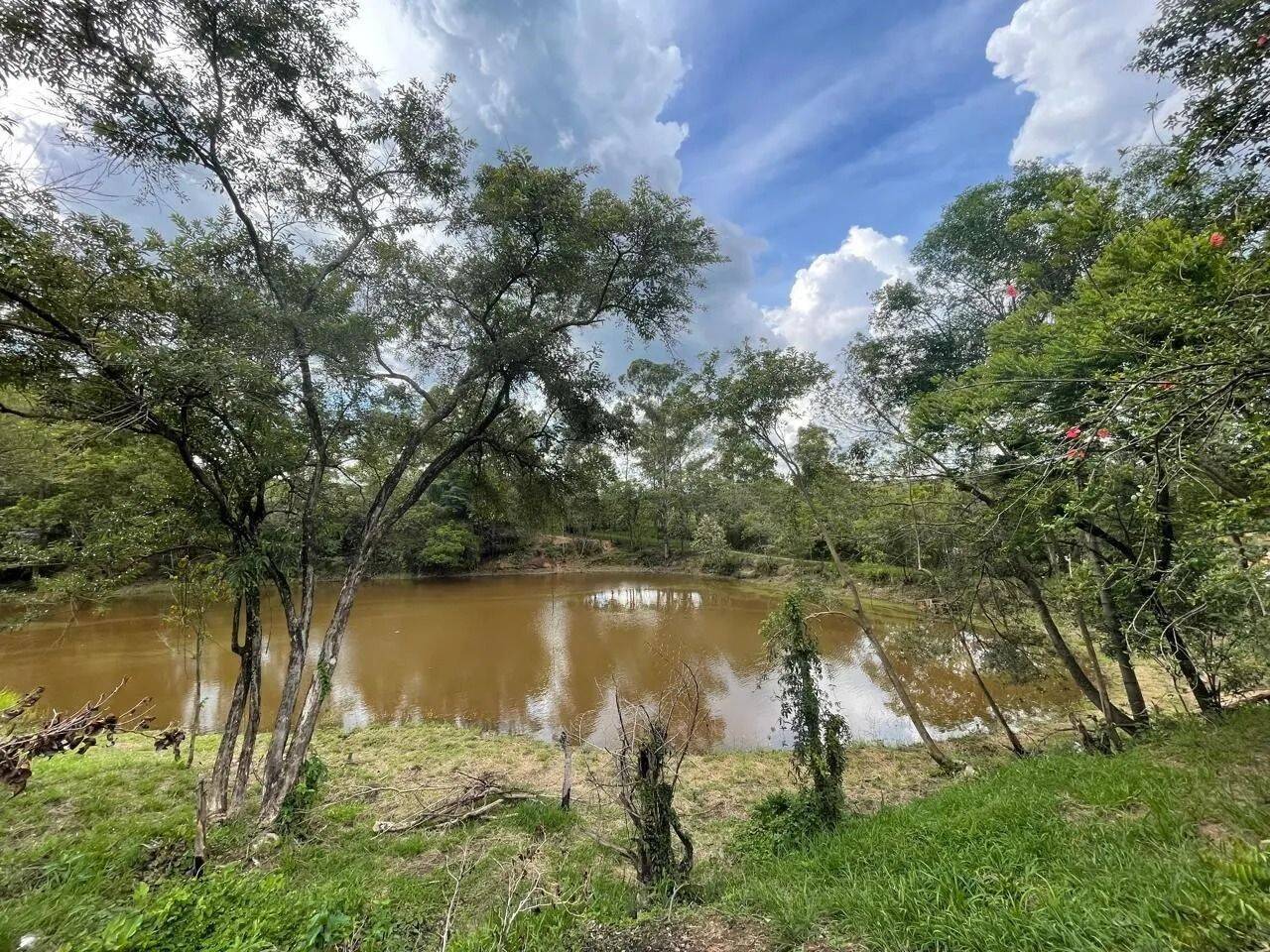 Fazenda, 48 hectares - Foto 58