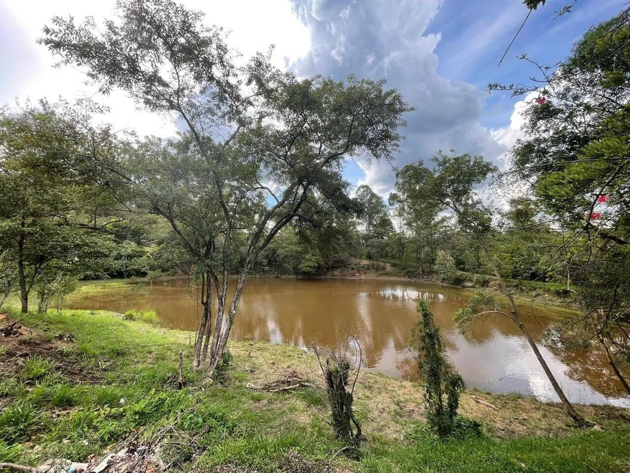 Fazenda, 48 hectares - Foto 59