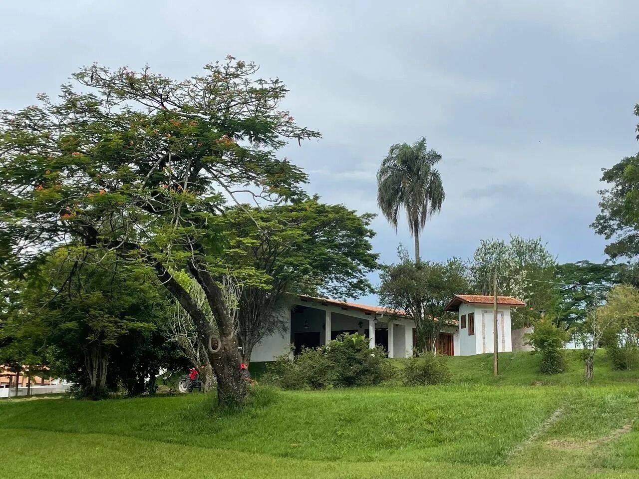 Fazenda, 48 hectares - Foto 61