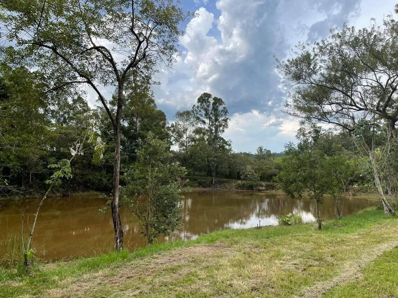 Fazenda, 48 hectares - Foto 62