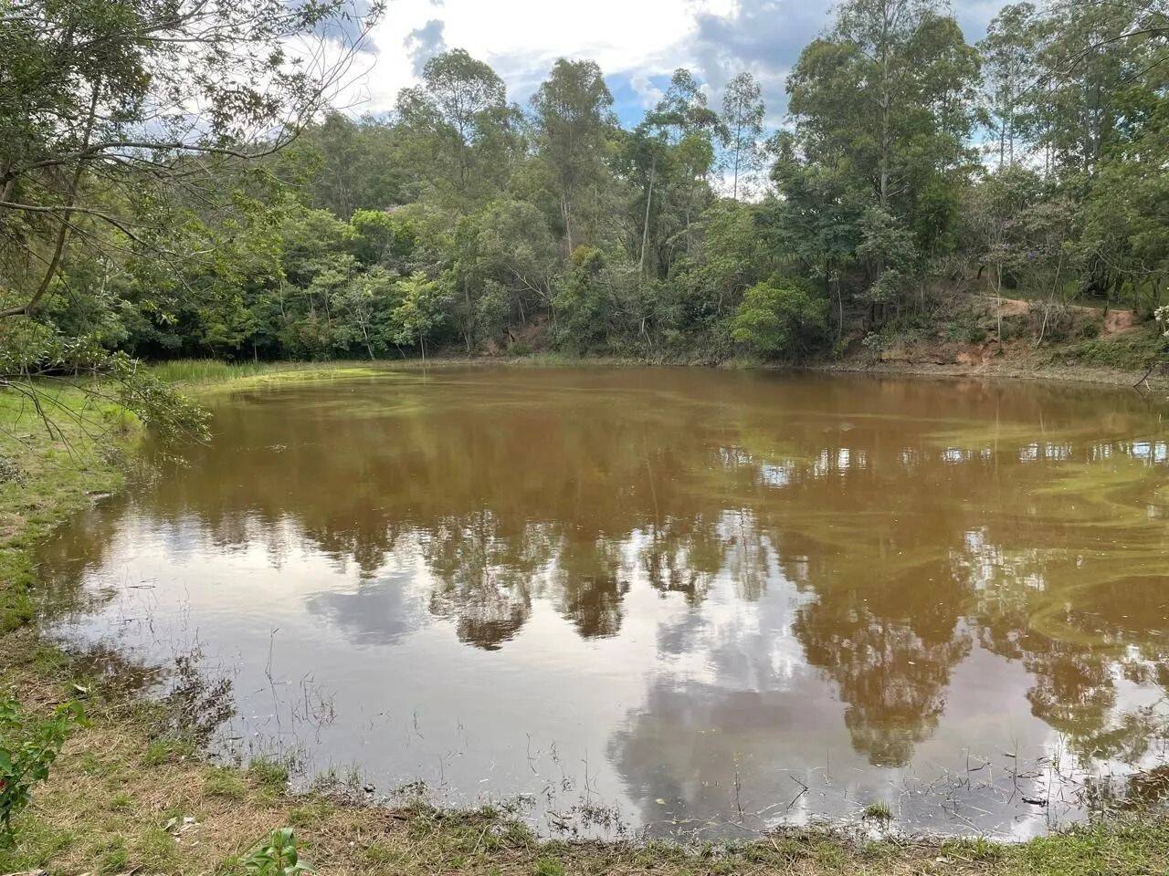 Fazenda, 48 hectares - Foto 64