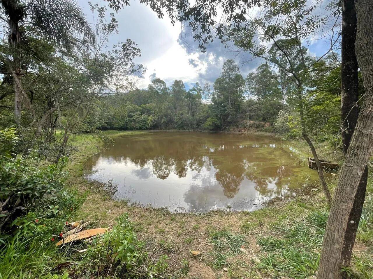 Fazenda, 48 hectares - Foto 65
