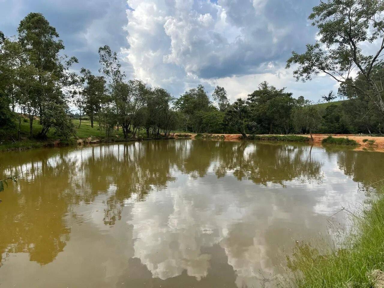 Fazenda, 48 hectares - Foto 66