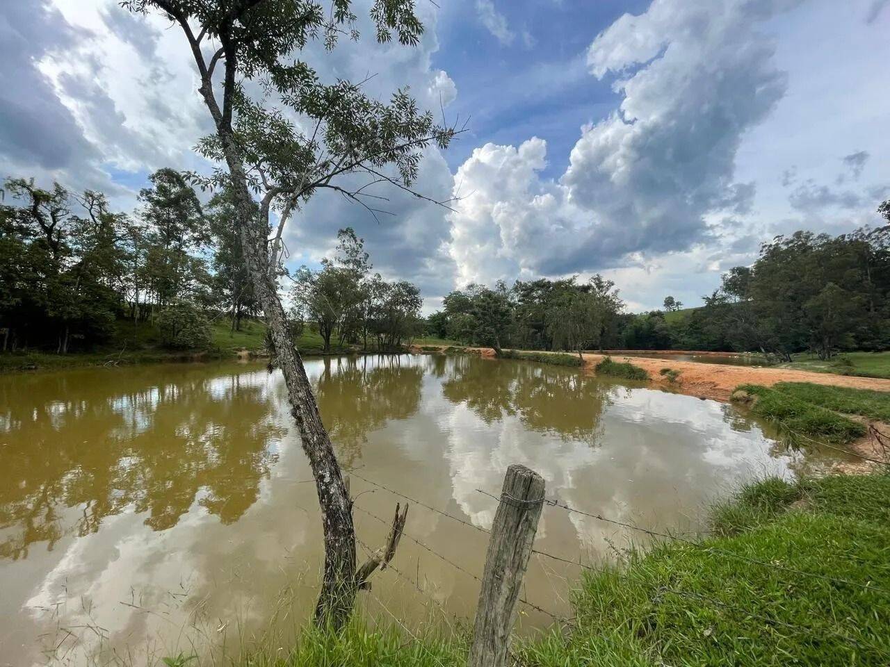 Fazenda, 48 hectares - Foto 67