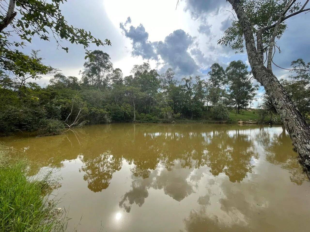 Fazenda, 48 hectares - Foto 68