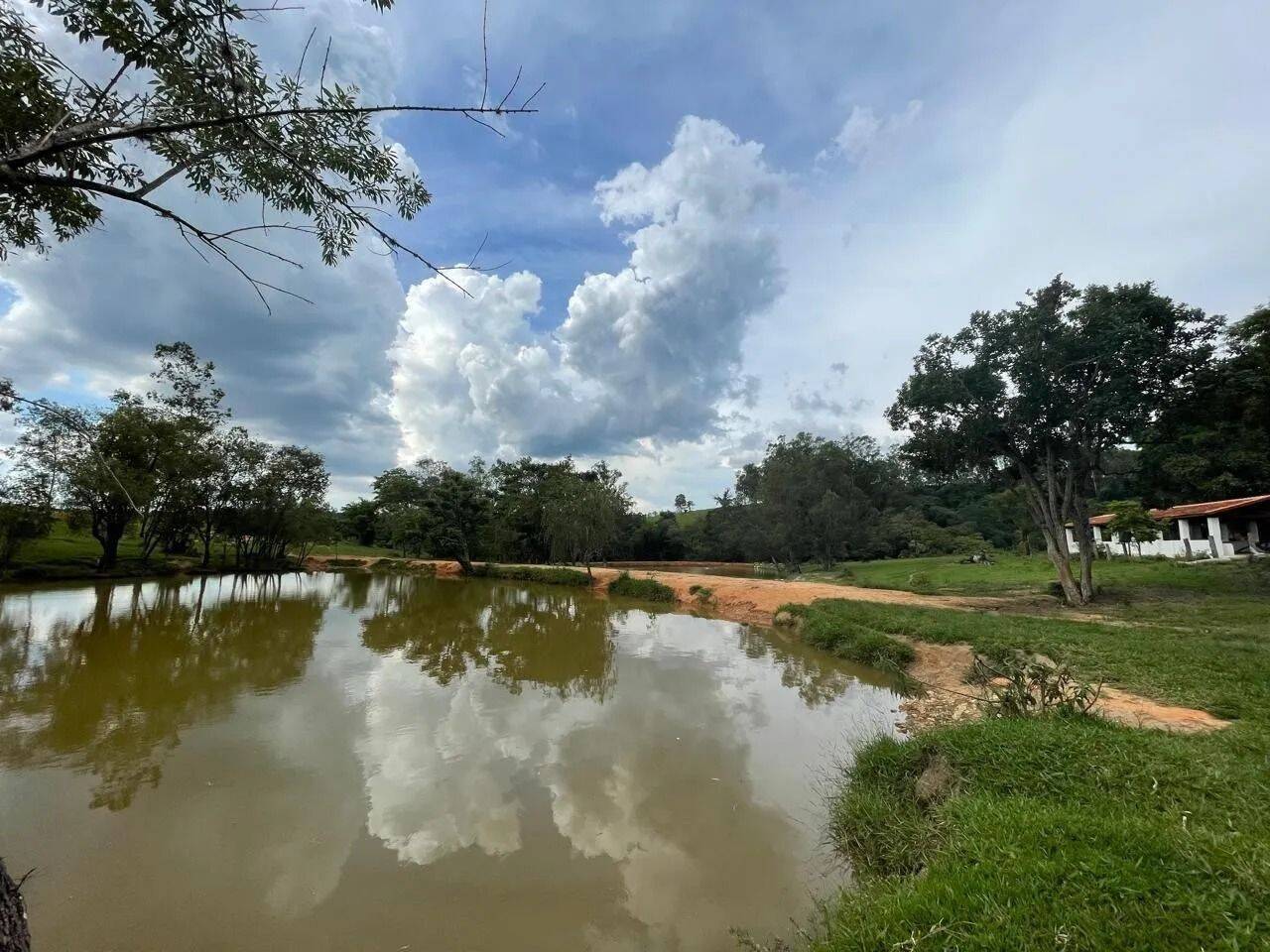 Fazenda, 48 hectares - Foto 69