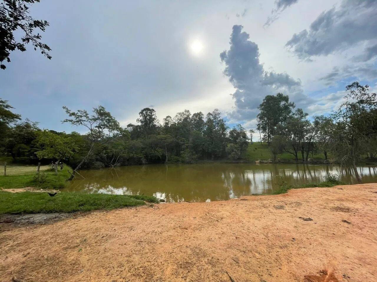 Fazenda, 48 hectares - Foto 71