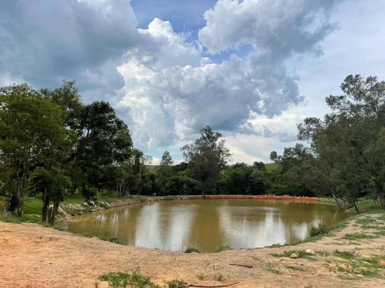 Fazenda, 48 hectares - Foto 72