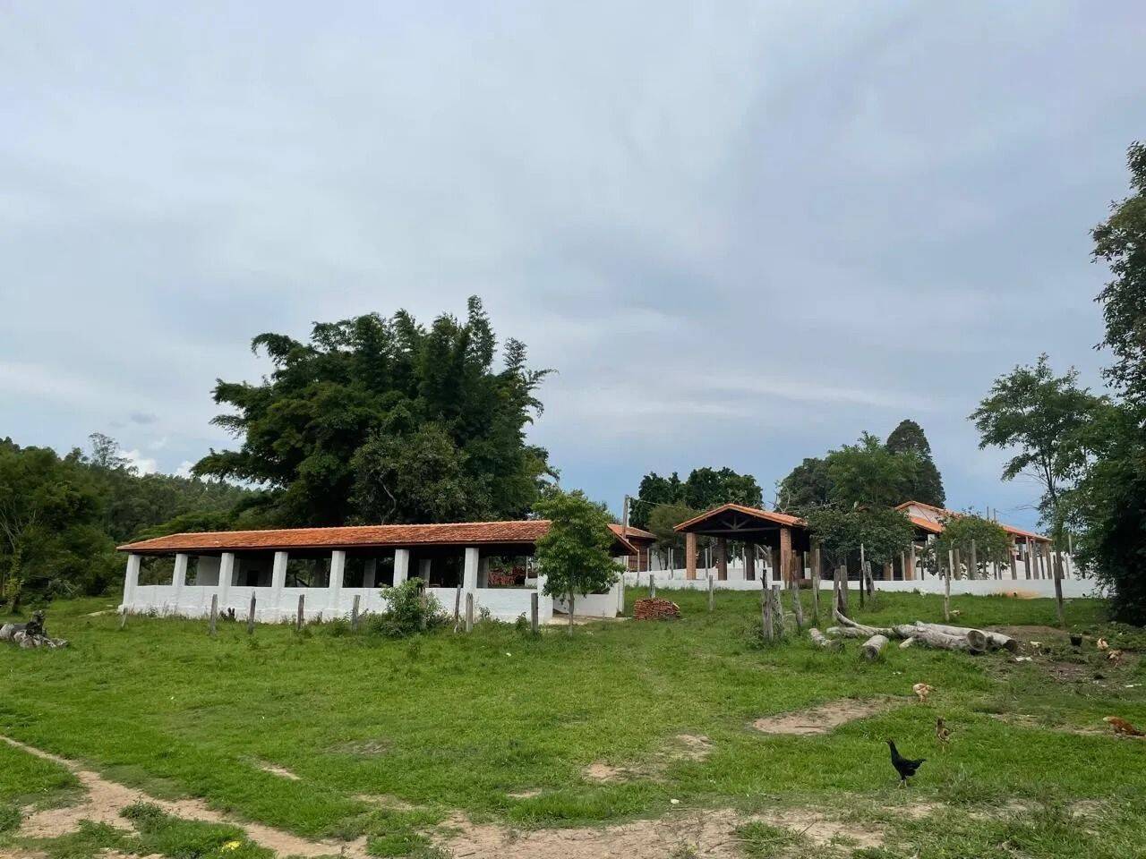 Fazenda, 48 hectares - Foto 73
