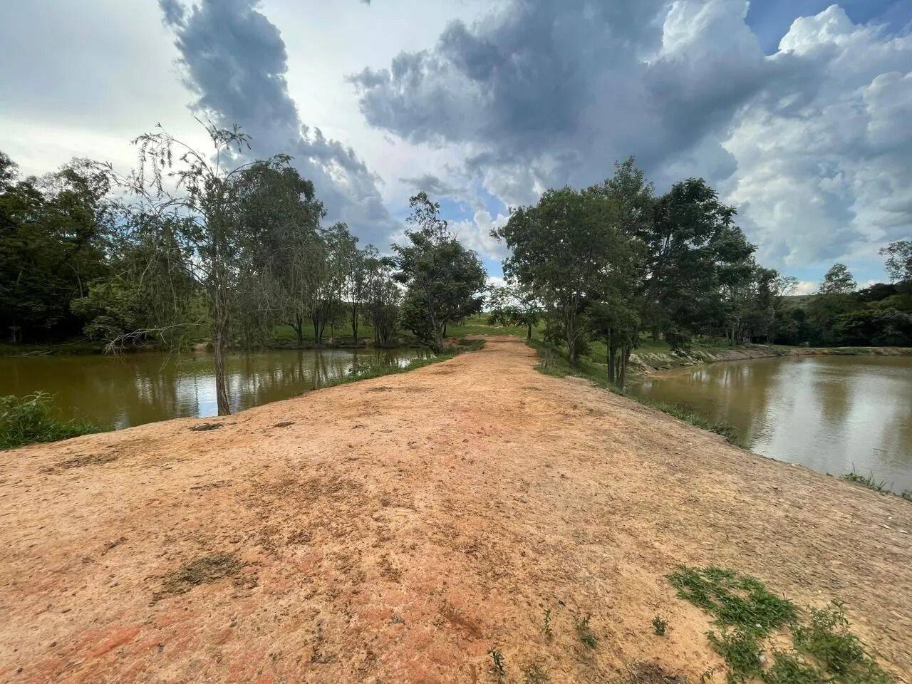 Fazenda, 48 hectares - Foto 74