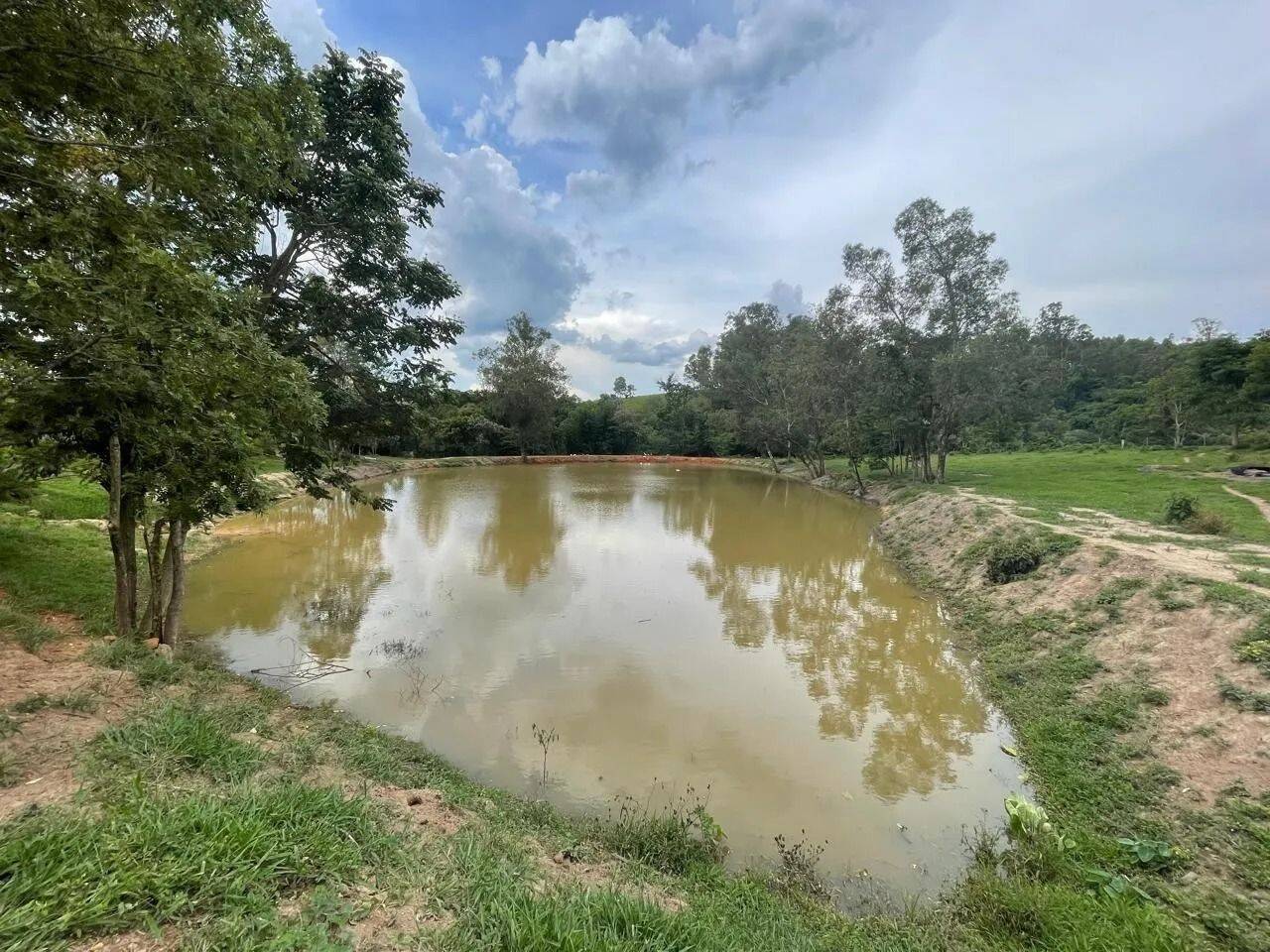 Fazenda, 48 hectares - Foto 75