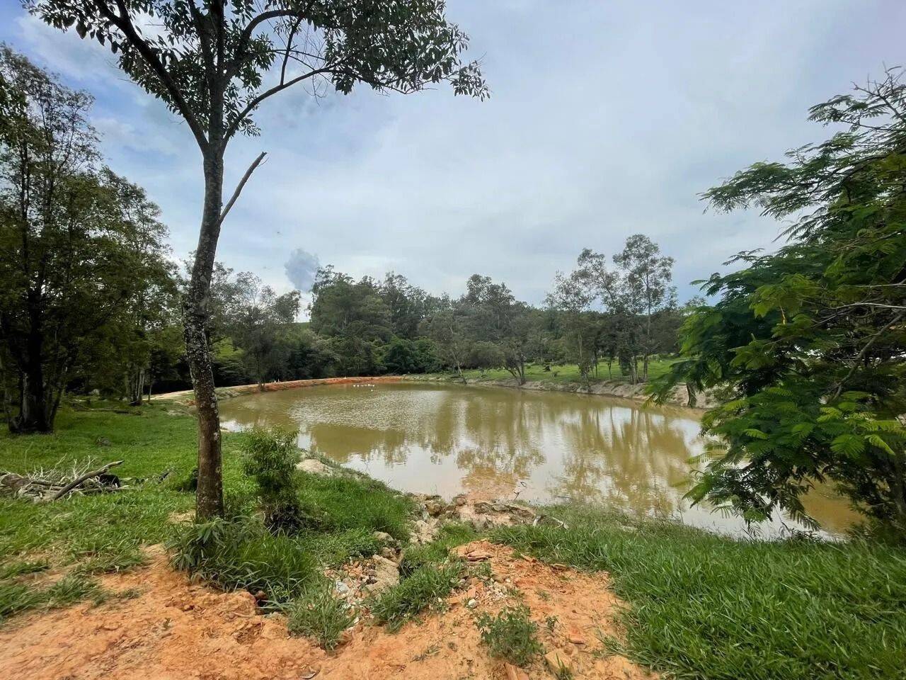 Fazenda, 48 hectares - Foto 78