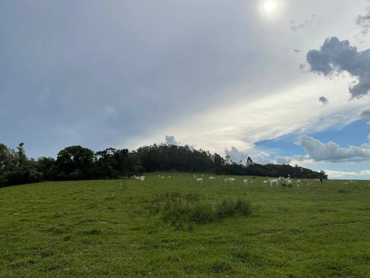Fazenda, 48 hectares - Foto 79