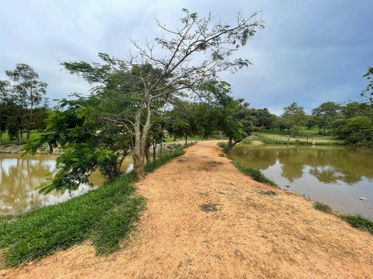 Fazenda, 48 hectares - Foto 80