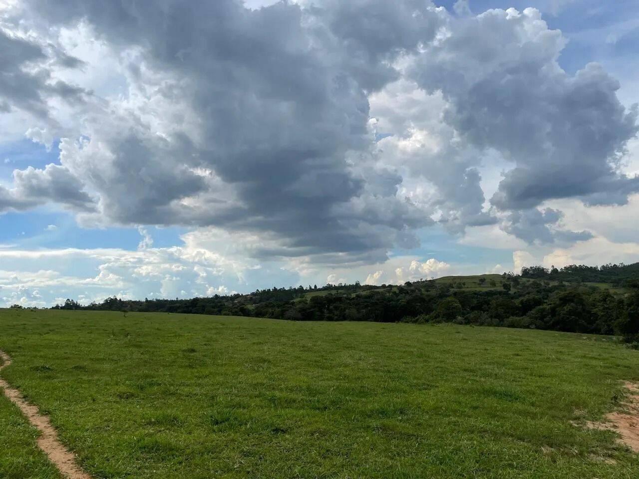 Fazenda, 48 hectares - Foto 82