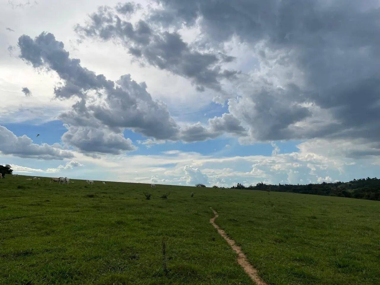 Fazenda, 48 hectares - Foto 83