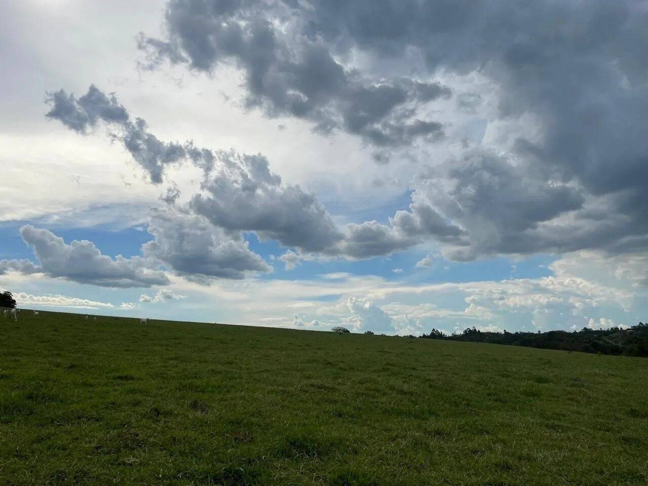 Fazenda, 48 hectares - Foto 85
