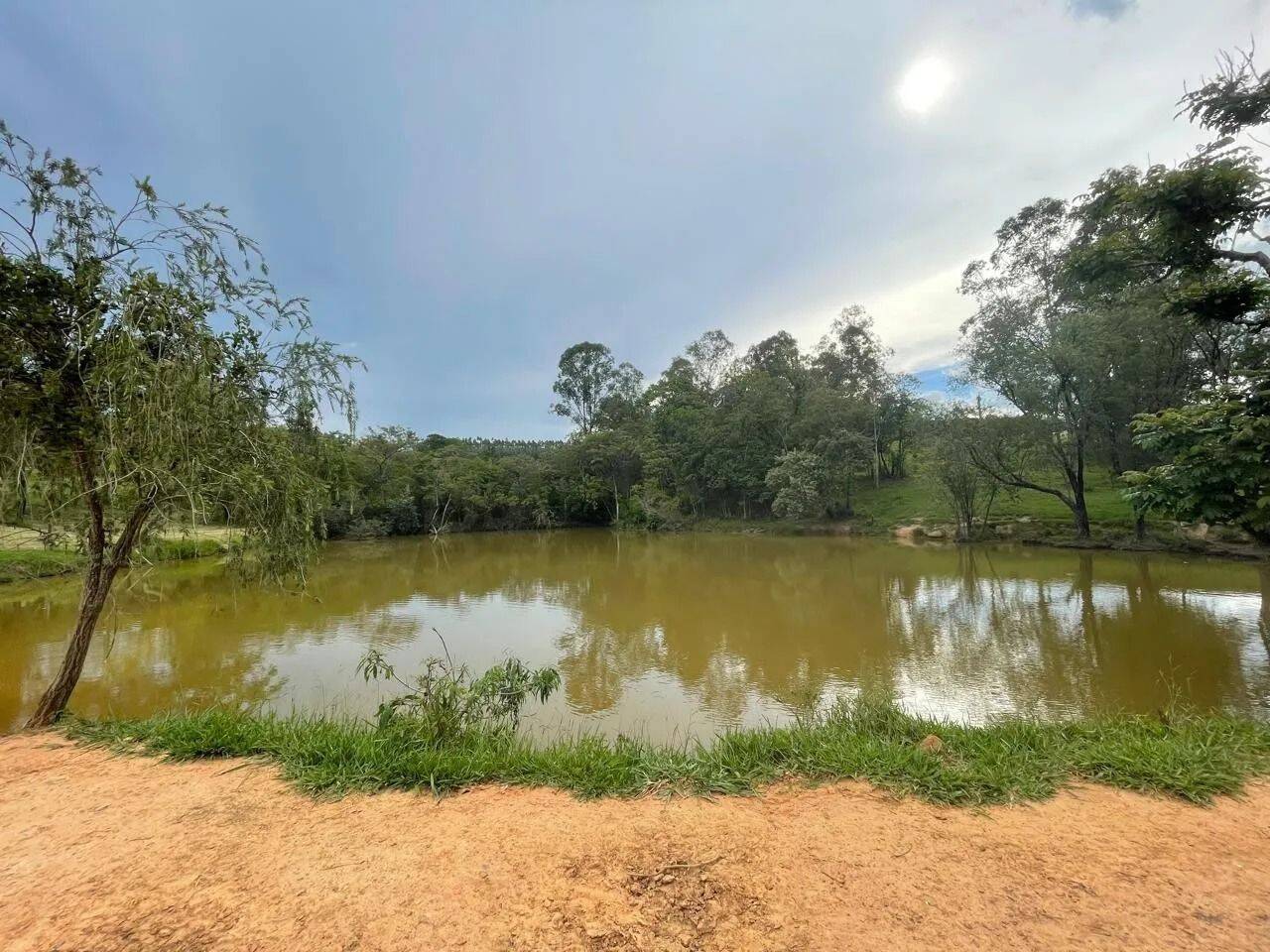 Fazenda, 48 hectares - Foto 86
