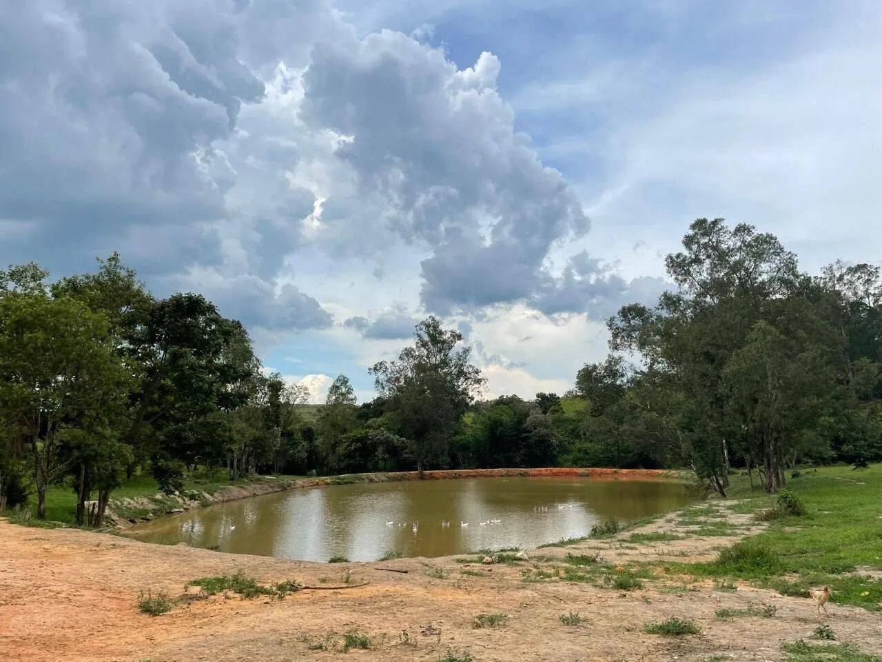 Fazenda, 48 hectares - Foto 88