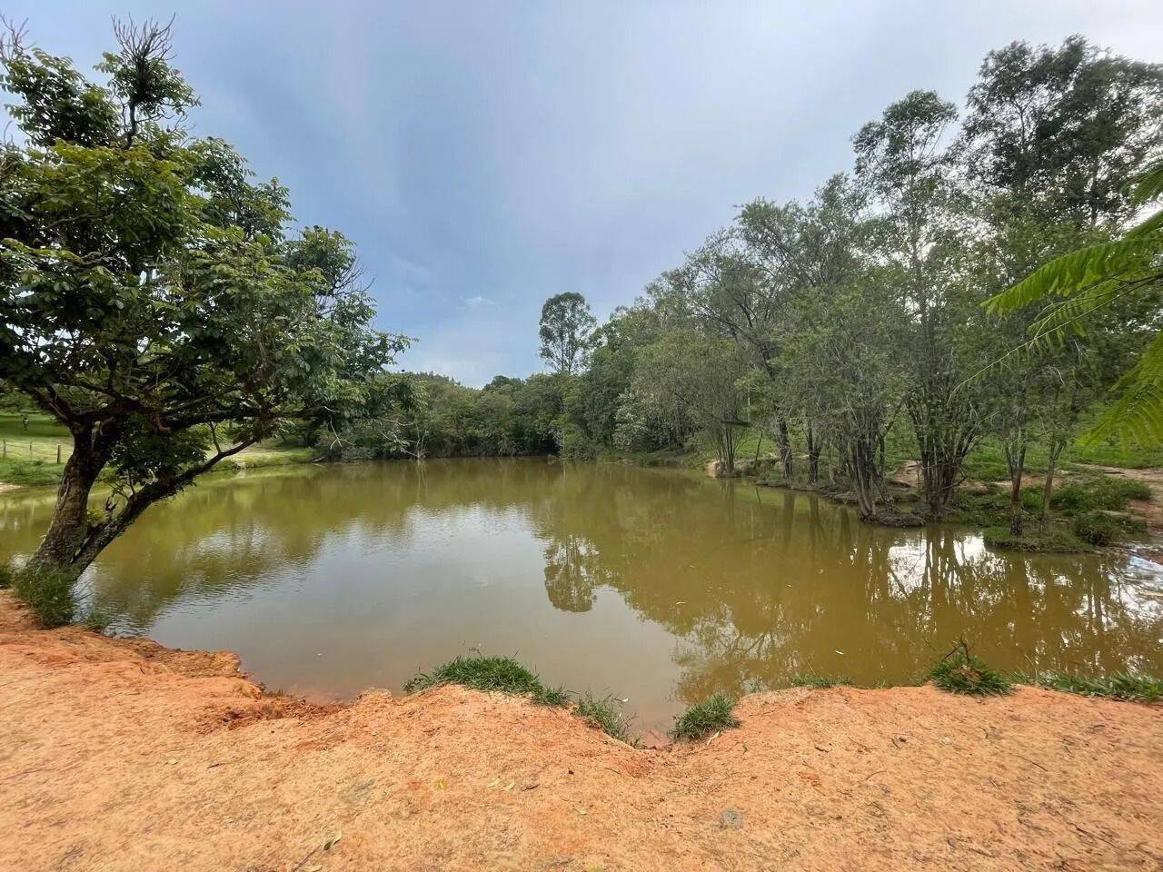 Fazenda, 48 hectares - Foto 89