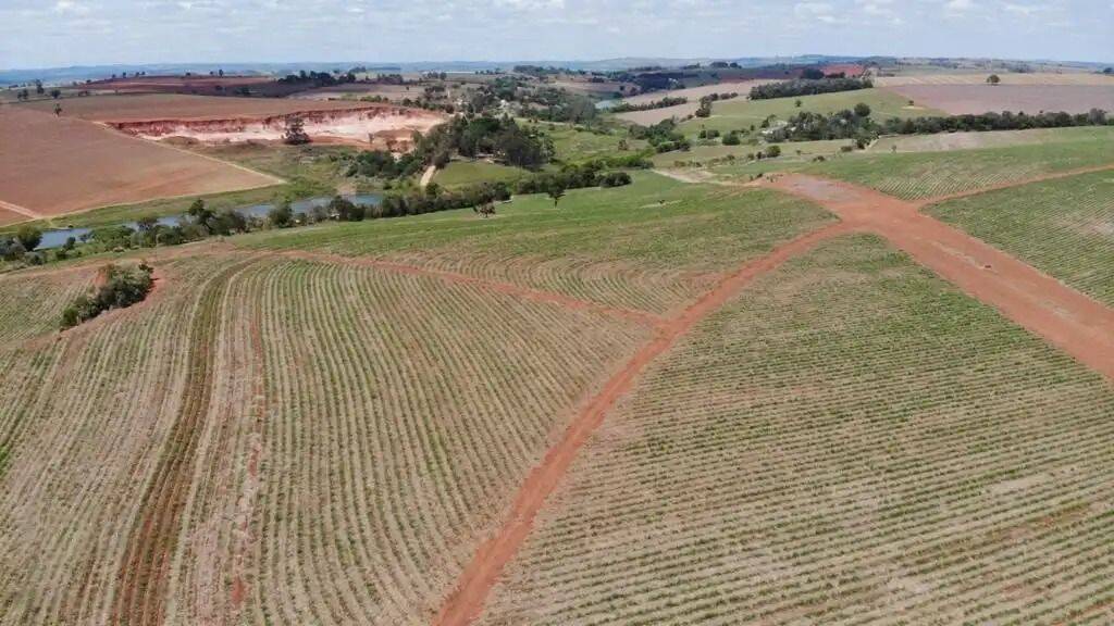 Terreno, 231 hectares - Foto 3