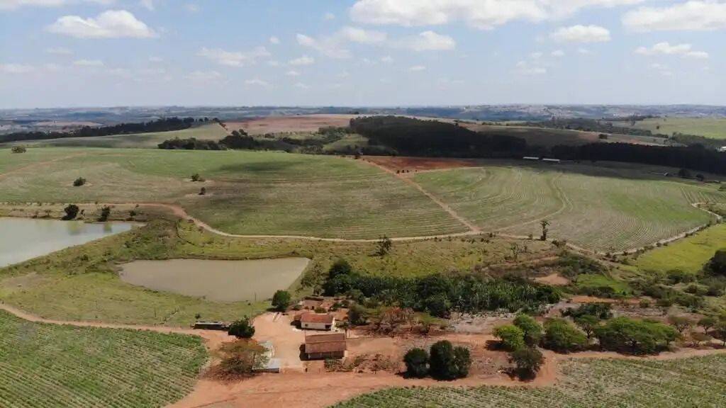 Terreno, 231 hectares - Foto 4