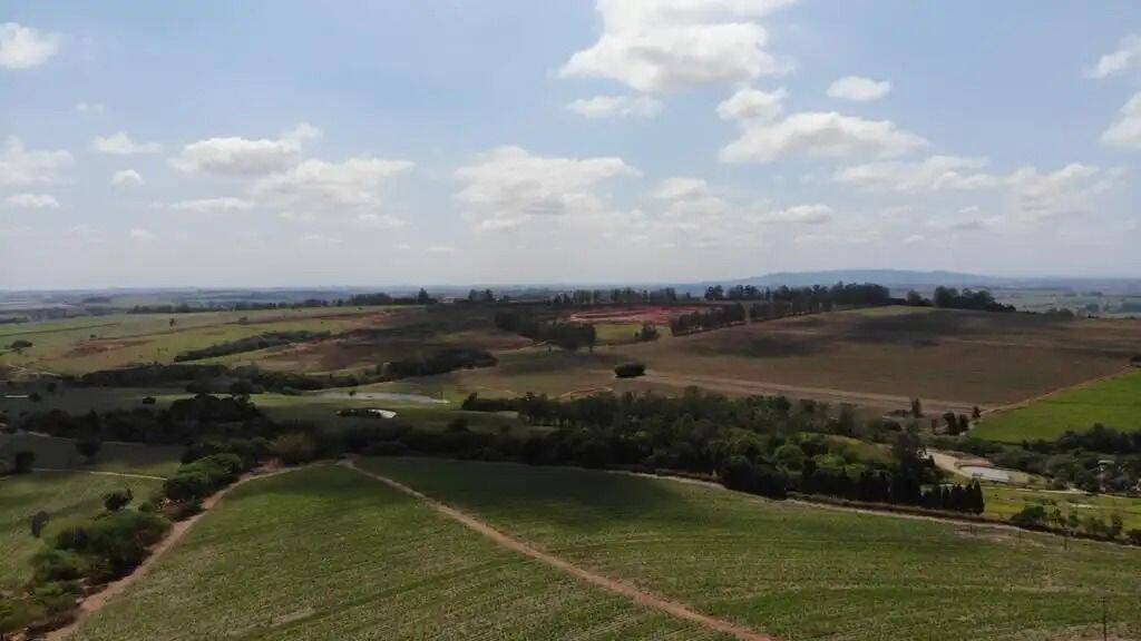 Terreno, 231 hectares - Foto 8