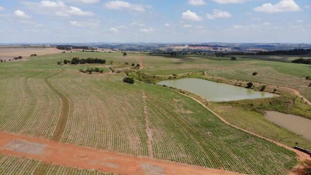 Terreno, 231 hectares - Foto 9