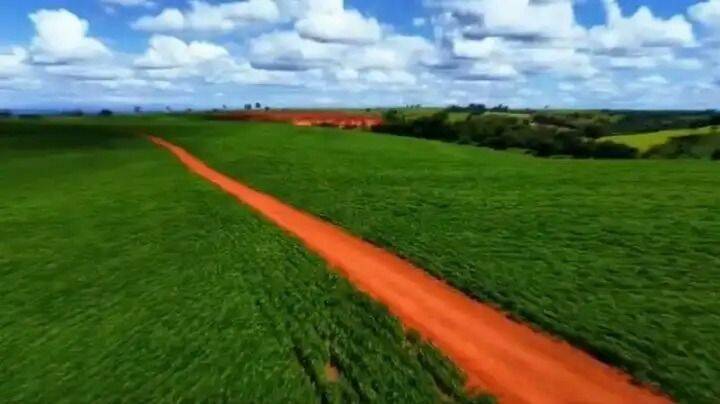 Terreno, 231 hectares - Foto 11