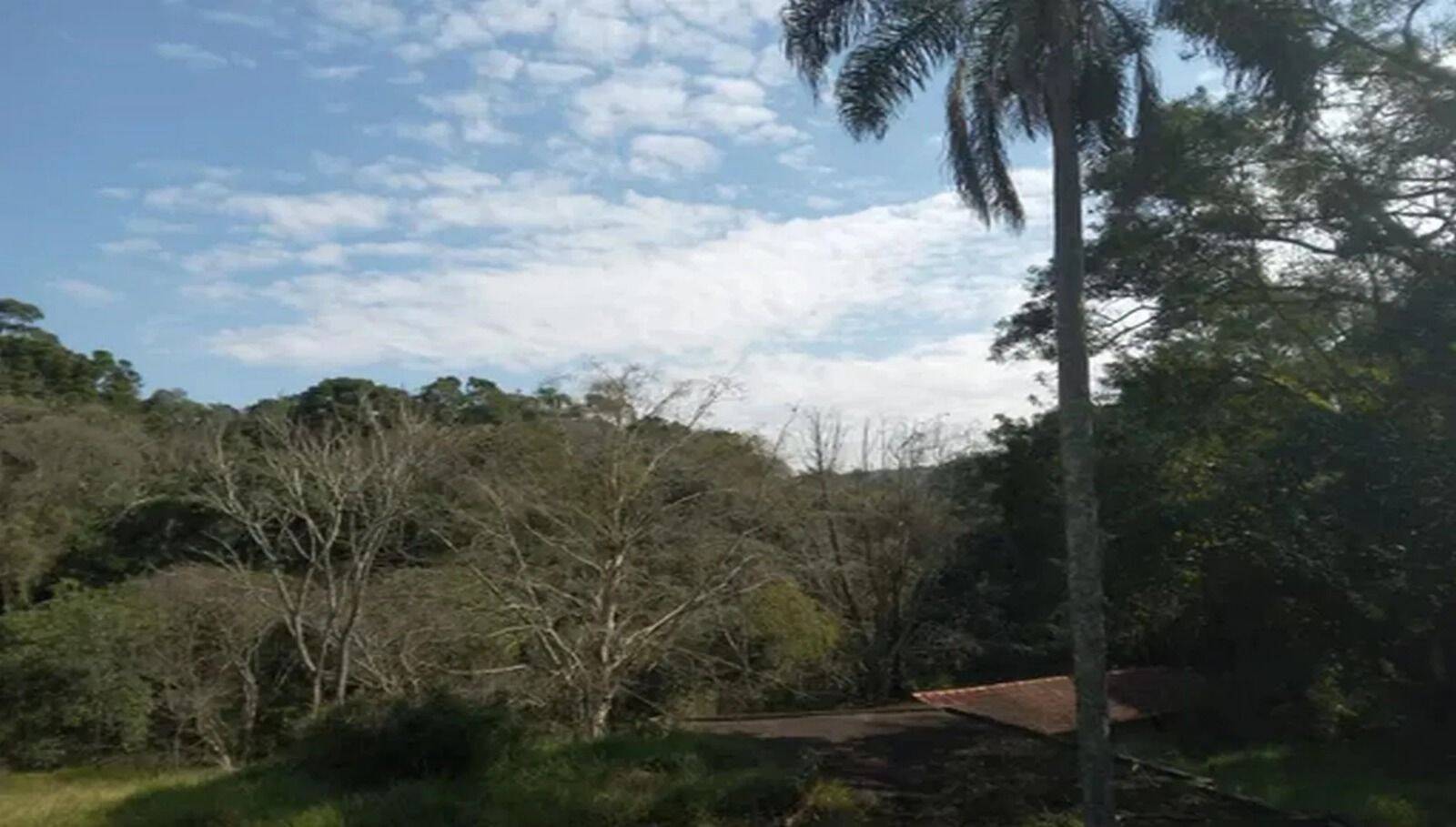 Sítio, 3 quartos, 10 hectares - Foto 9