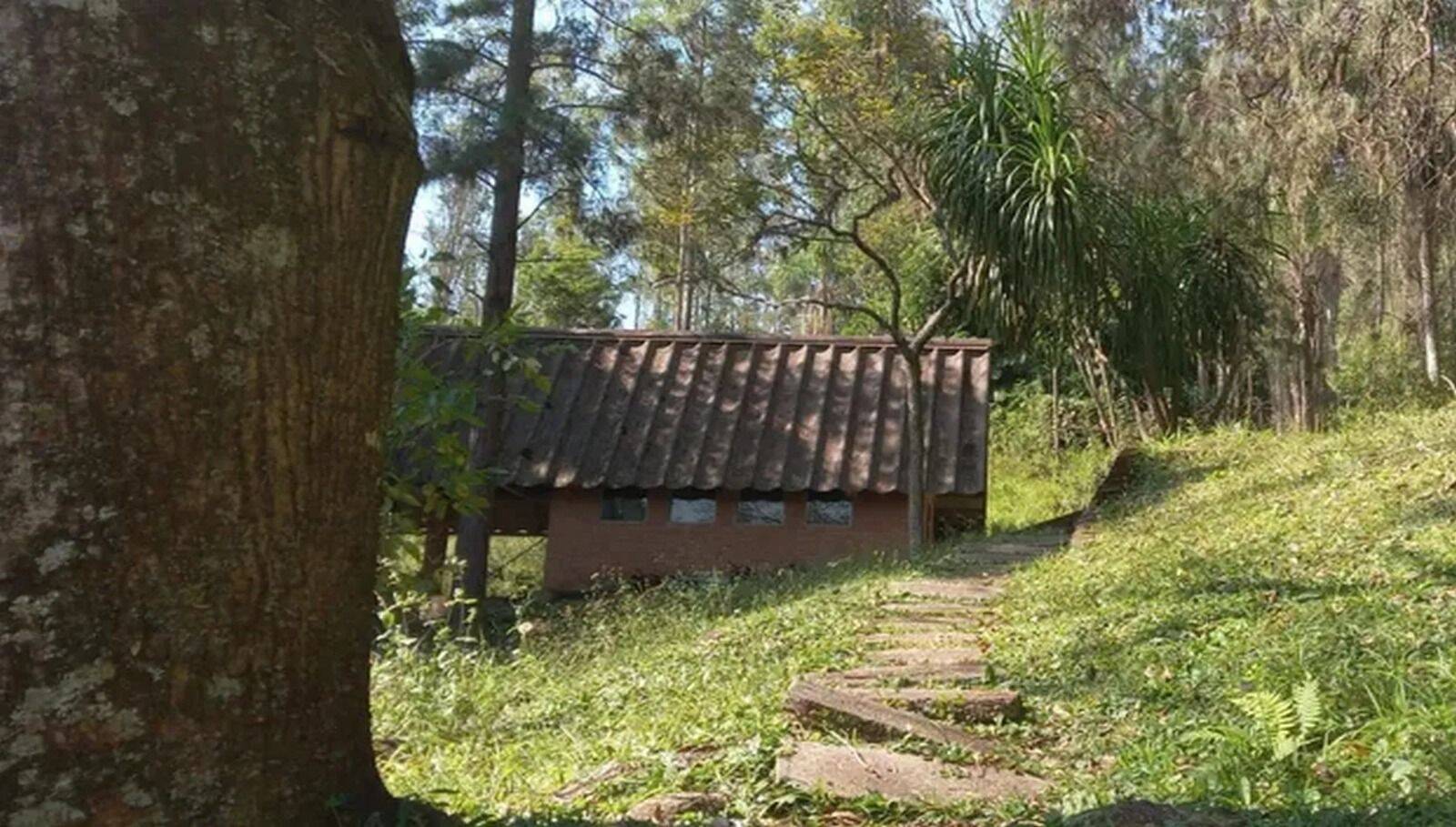 Sítio, 3 quartos, 10 hectares - Foto 10