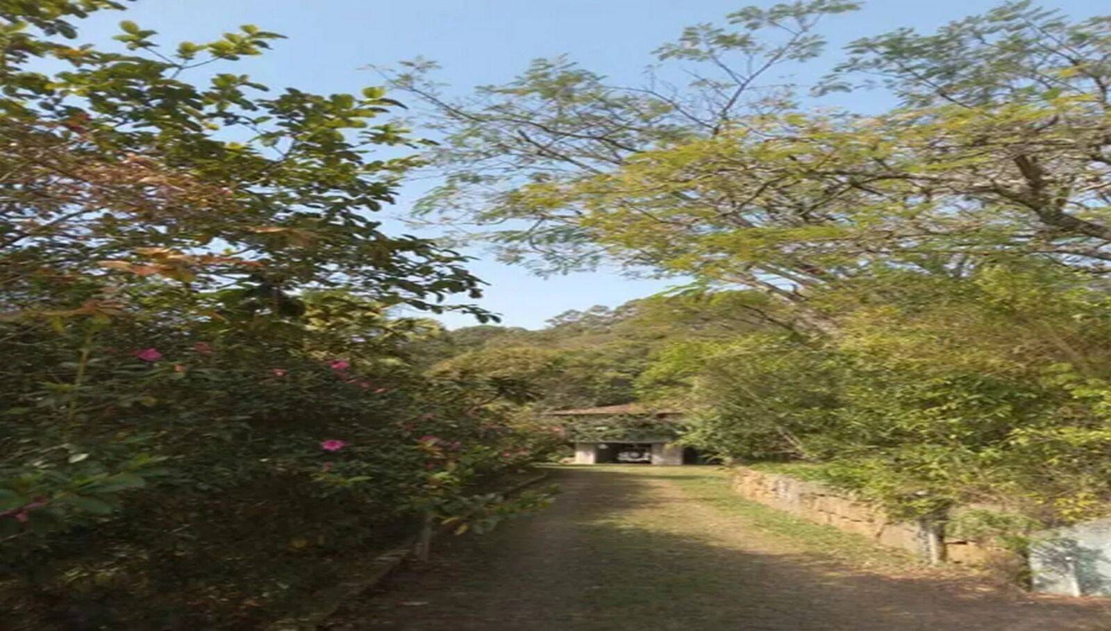 Sítio, 3 quartos, 10 hectares - Foto 18