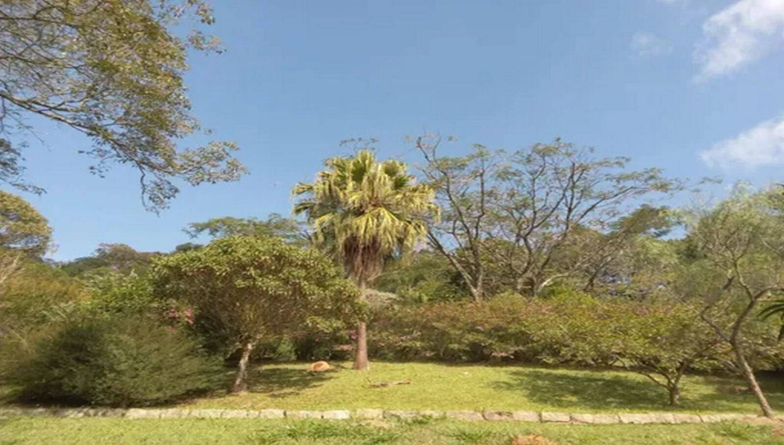 Sítio, 3 quartos, 10 hectares - Foto 20