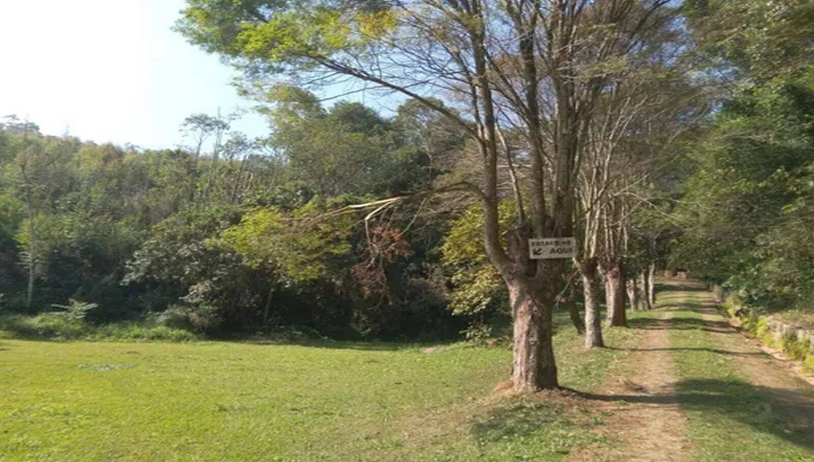 Sítio, 3 quartos, 10 hectares - Foto 34