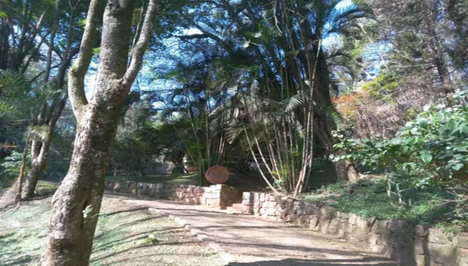 Sítio, 3 quartos, 10 hectares - Foto 40