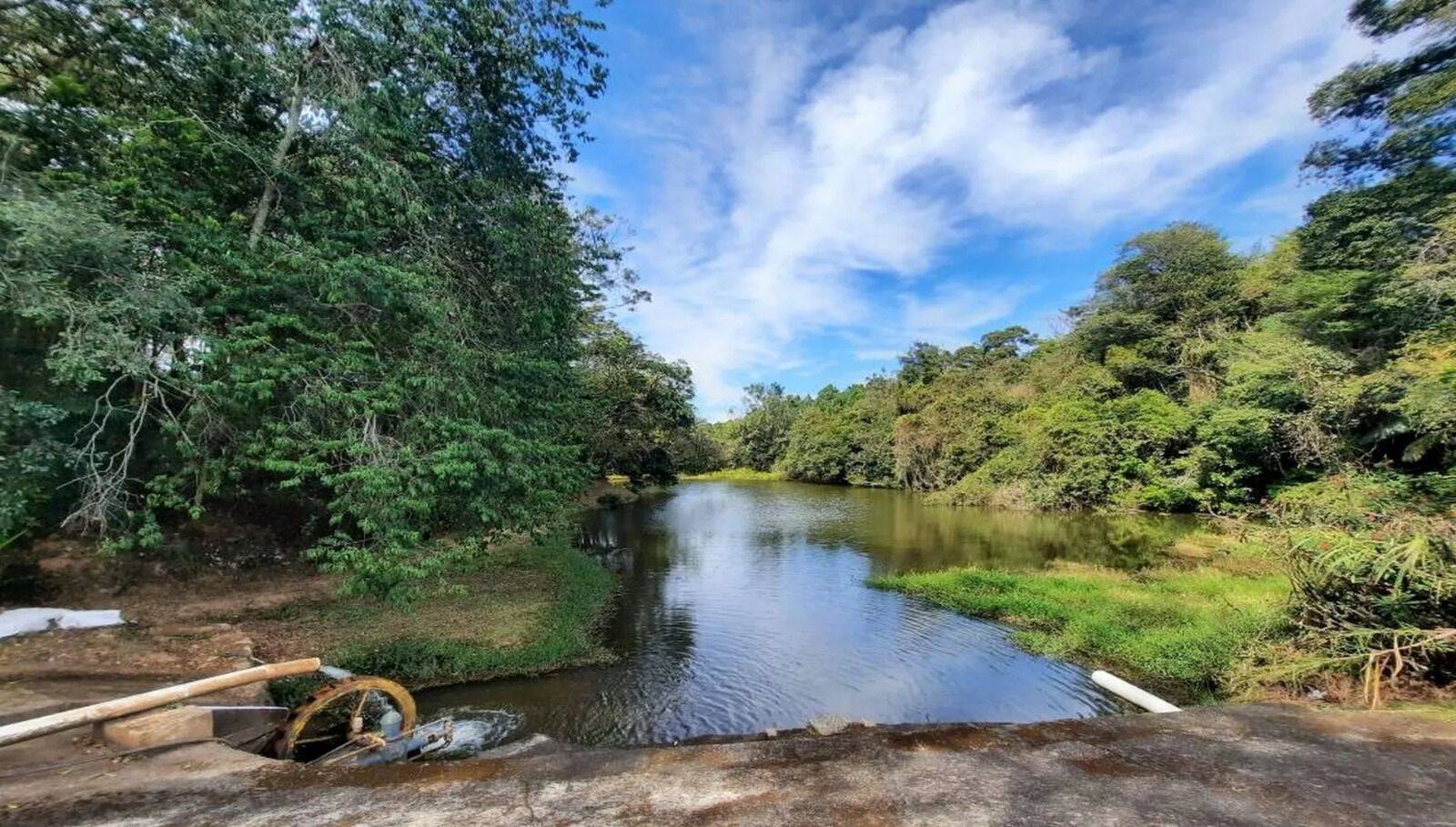Sítio, 4 quartos, 15 hectares - Foto 15