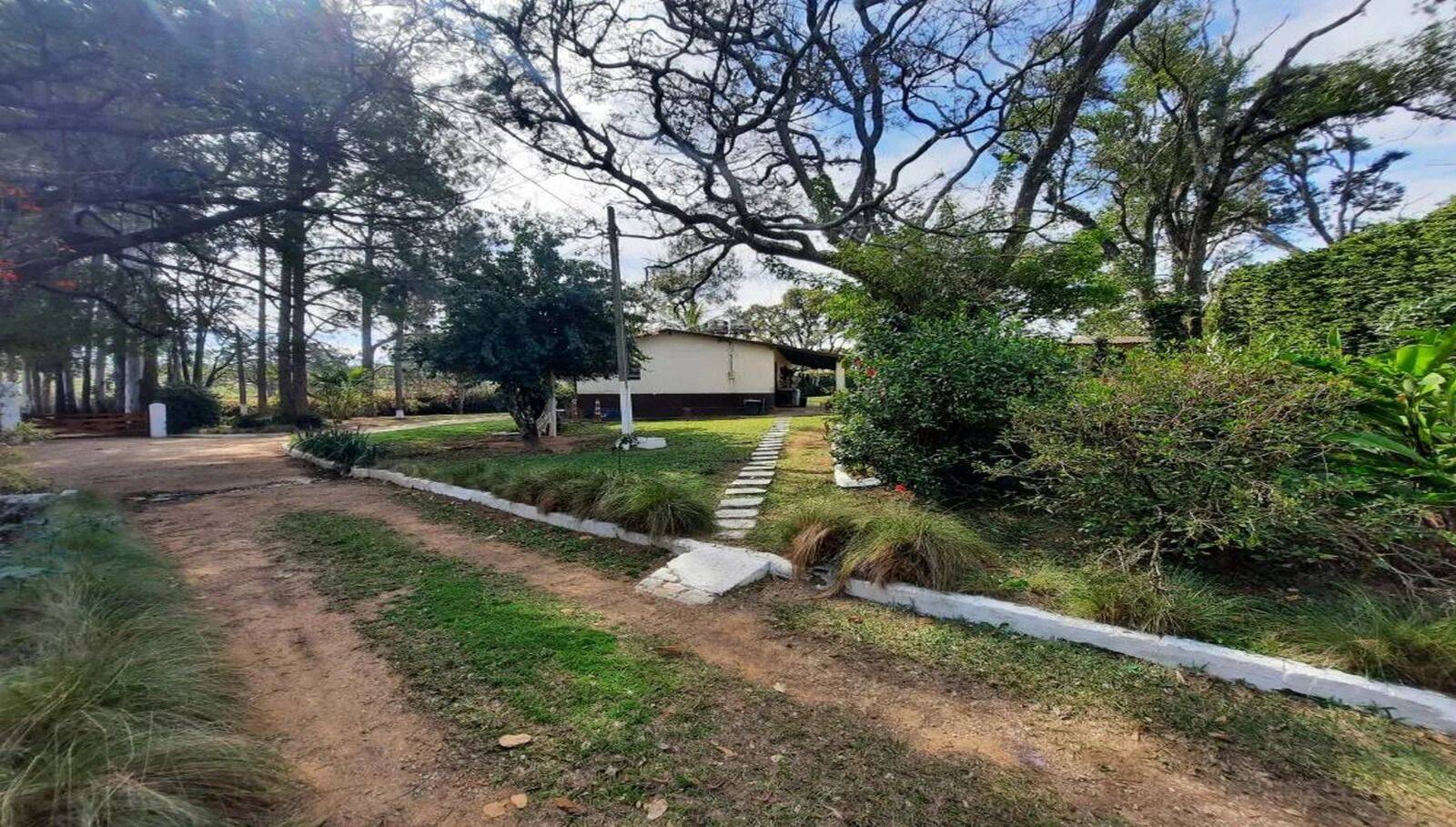Sítio, 4 quartos, 15 hectares - Foto 16