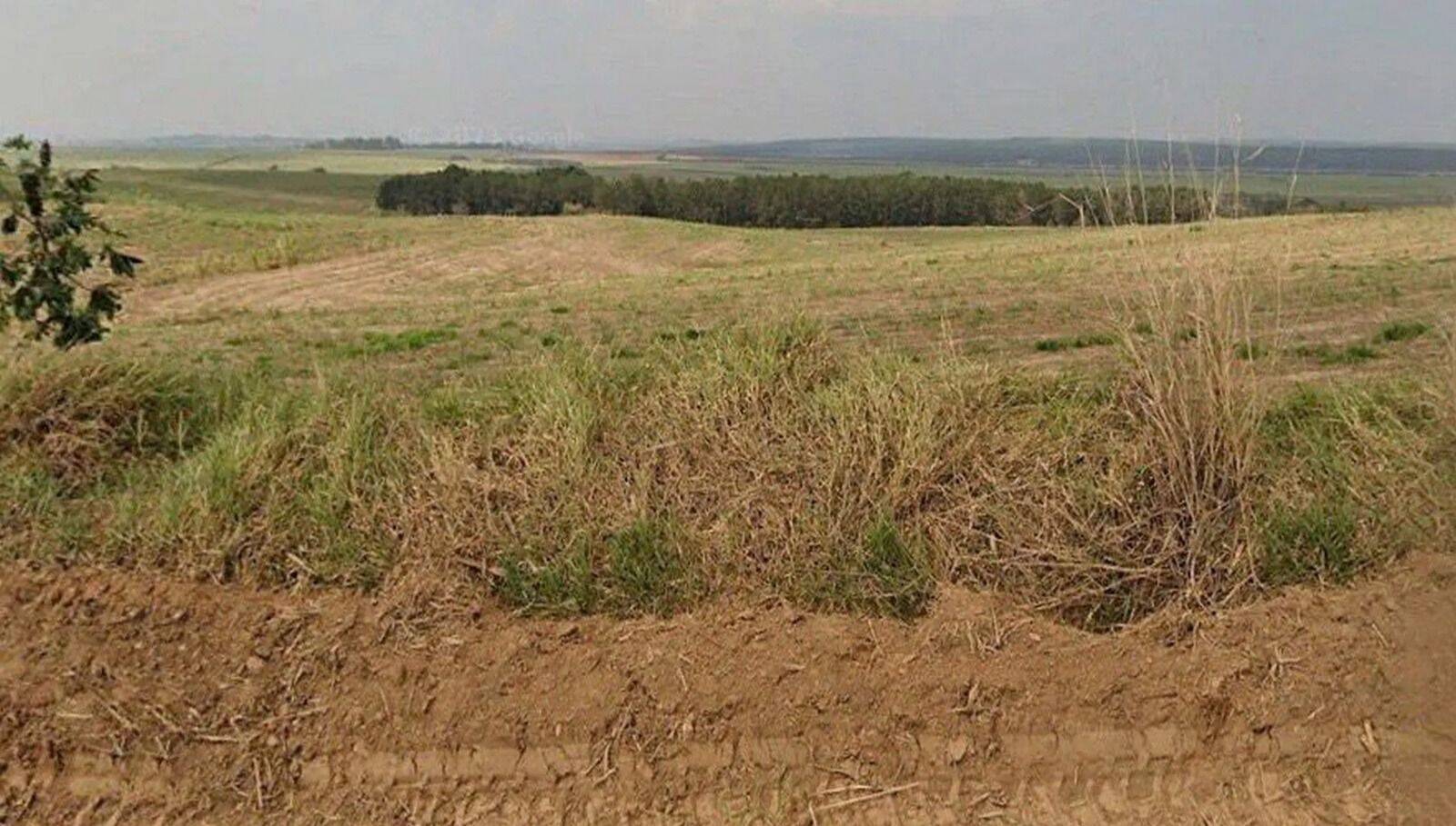 Terreno, 387 hectares - Foto 5