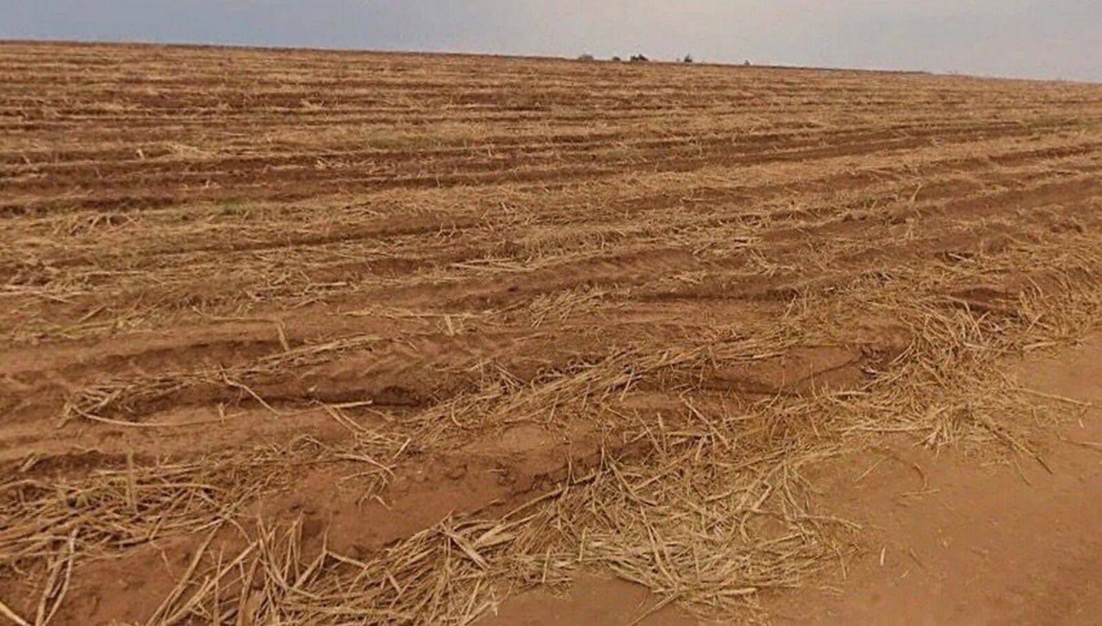 Terreno, 387 hectares - Foto 6