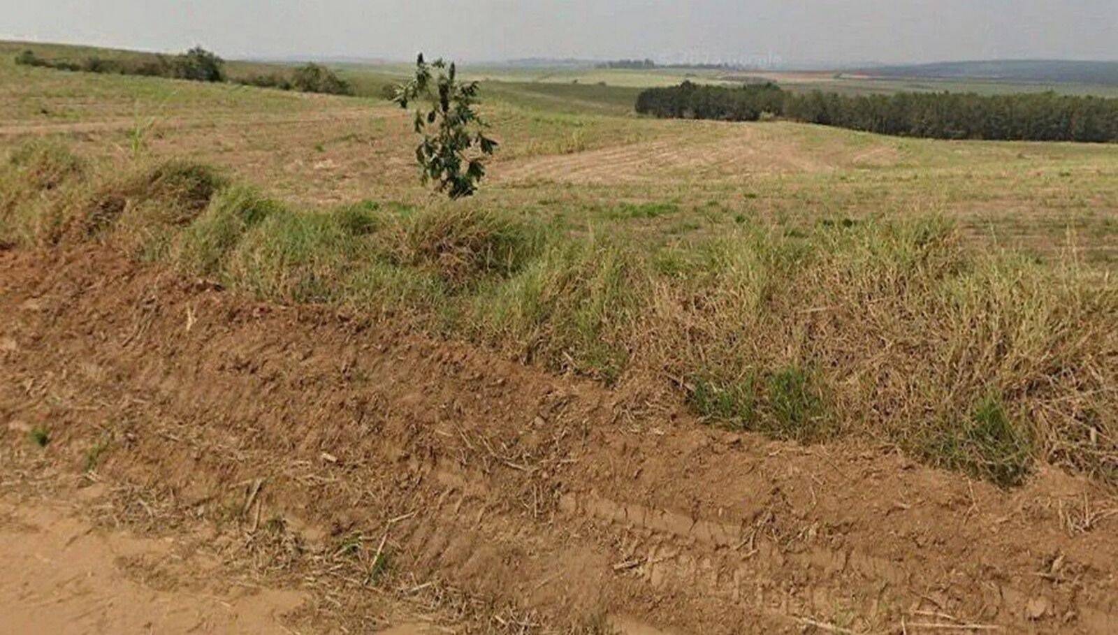 Terreno, 387 hectares - Foto 9