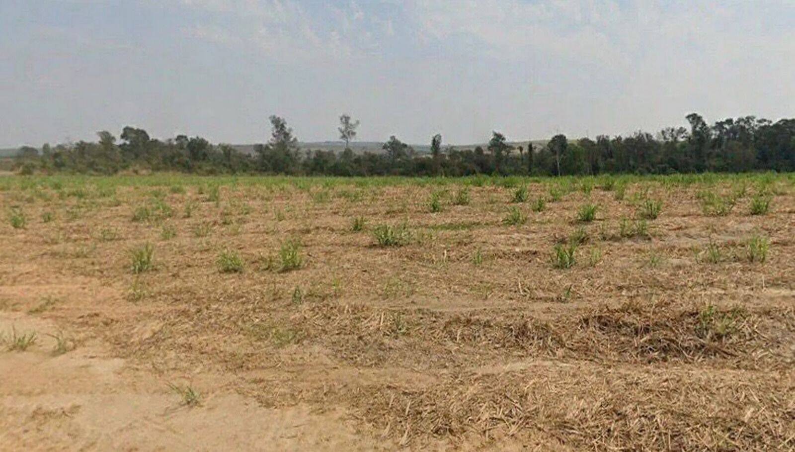 Terreno, 387 hectares - Foto 12