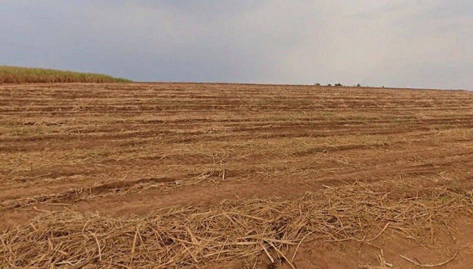 Terreno, 387 hectares - Foto 13