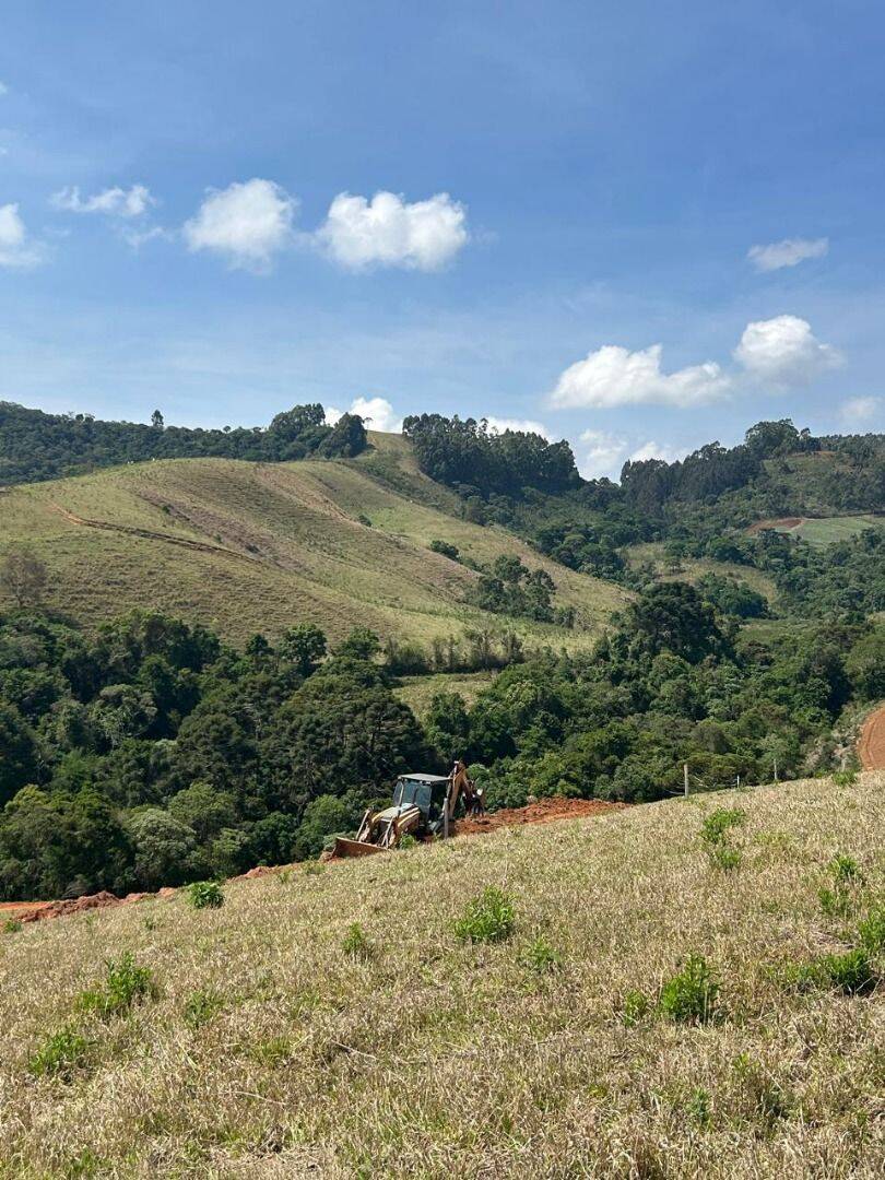 Terreno, 2 hectares - Foto 13