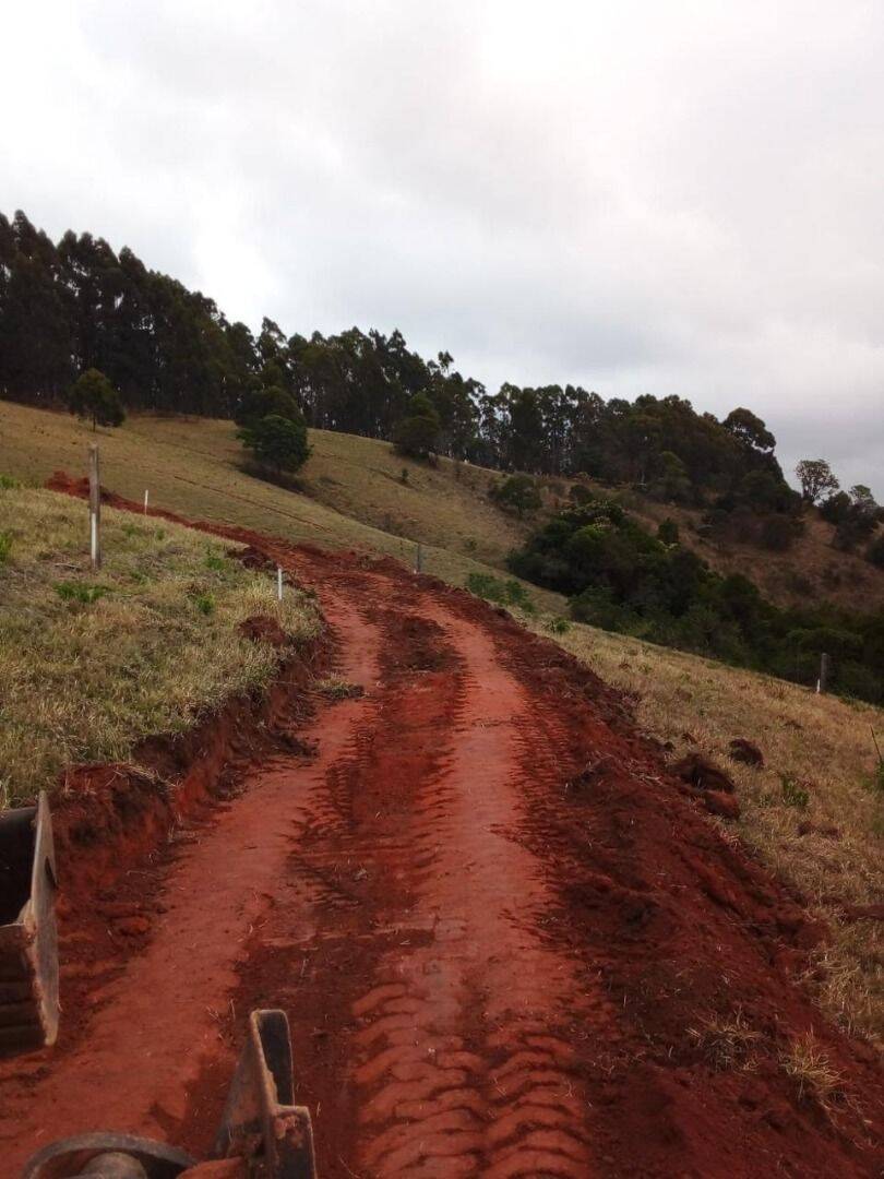 Terreno, 2 hectares - Foto 16