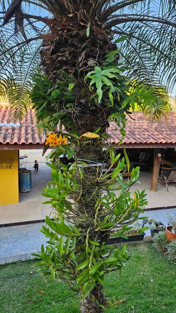 Chácara, 4 quartos, 1080 m² - Foto 20